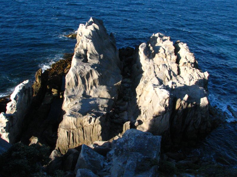 Stewart Island 03