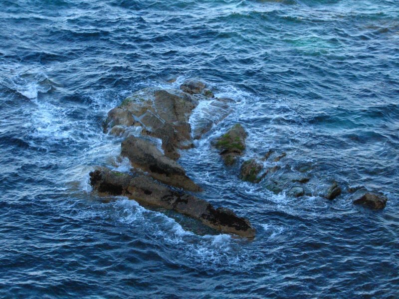 Stewart Island 03
