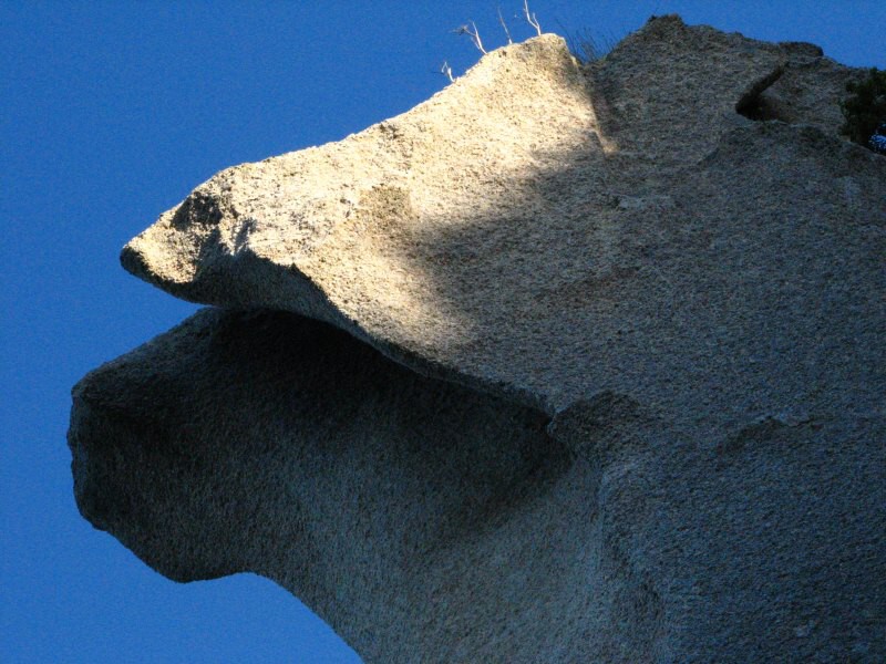 Stewart Island 03