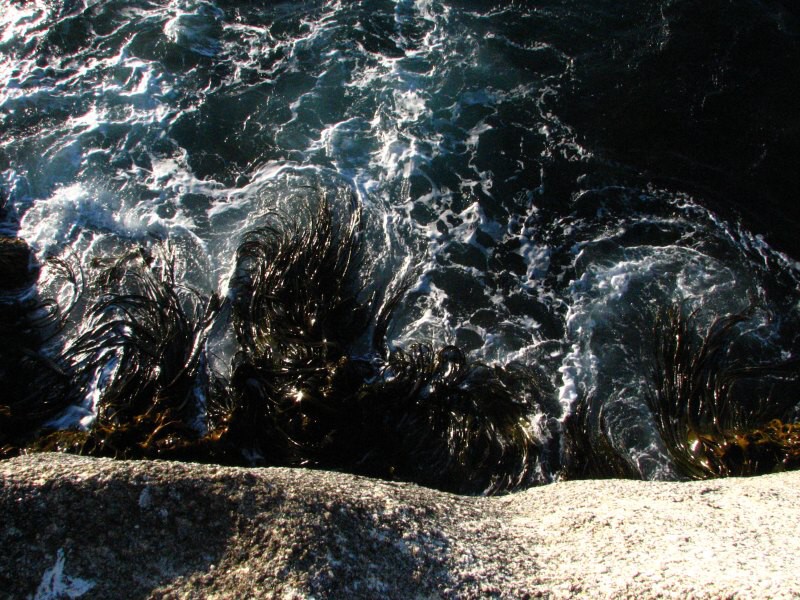 Stewart Island 03