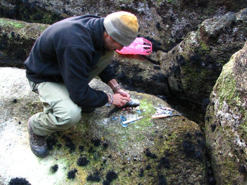 Stewart Island 03