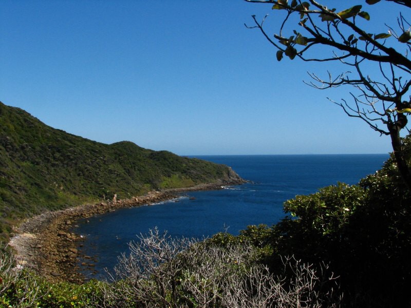 Stewart Island 04