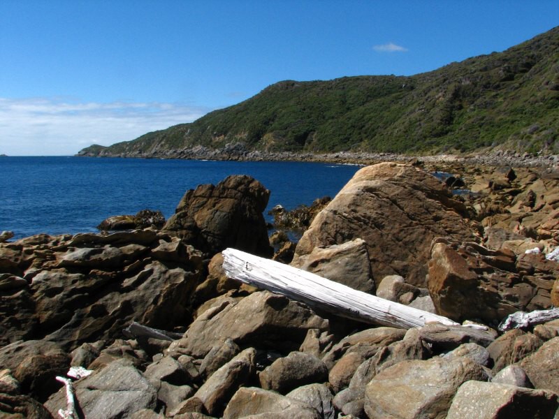 Stewart Island 04
