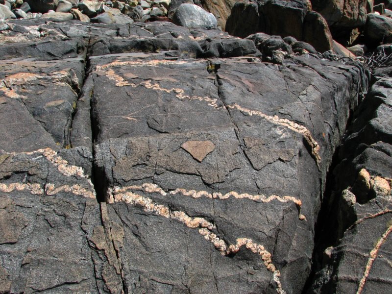 Stewart Island 04