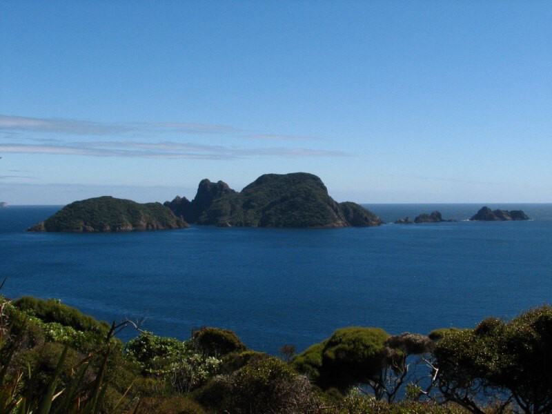 Stewart Island 04