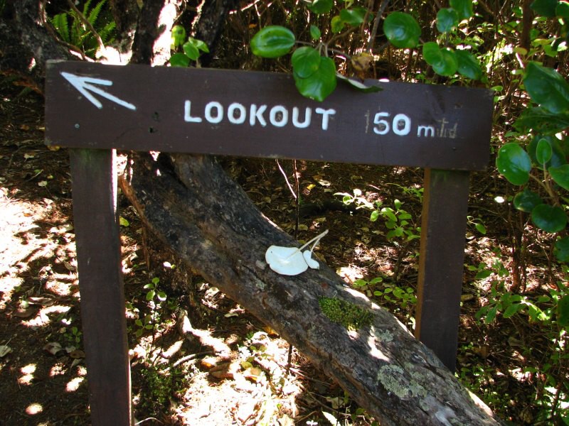 Stewart Island 04