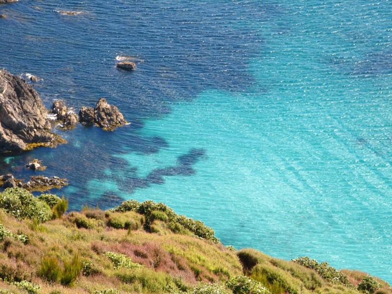 Stewart Island 04