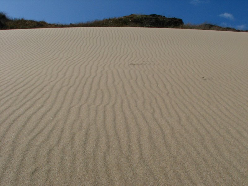 Stewart Island 04