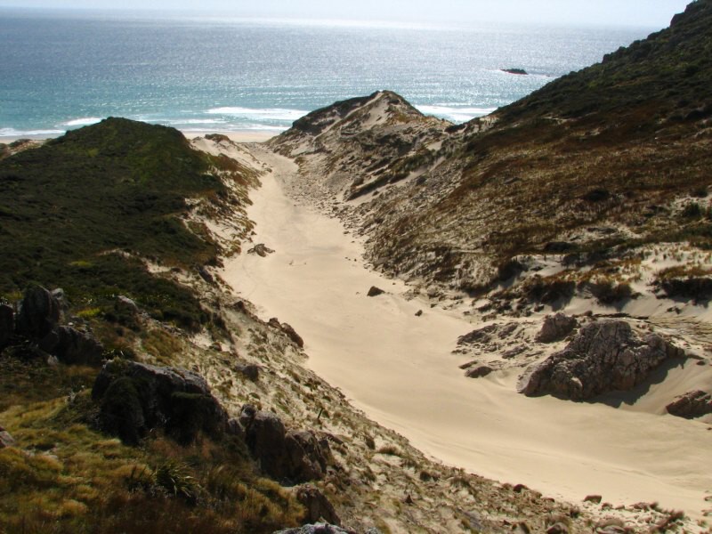 Stewart Island 04