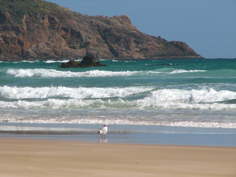 Stewart Island 04