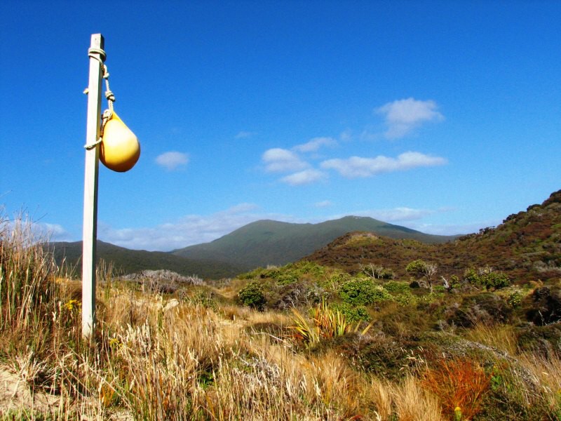 Stewart Island 04