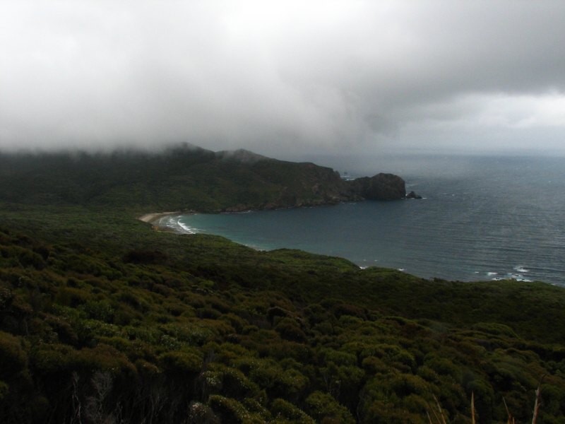 Stewart Island 04