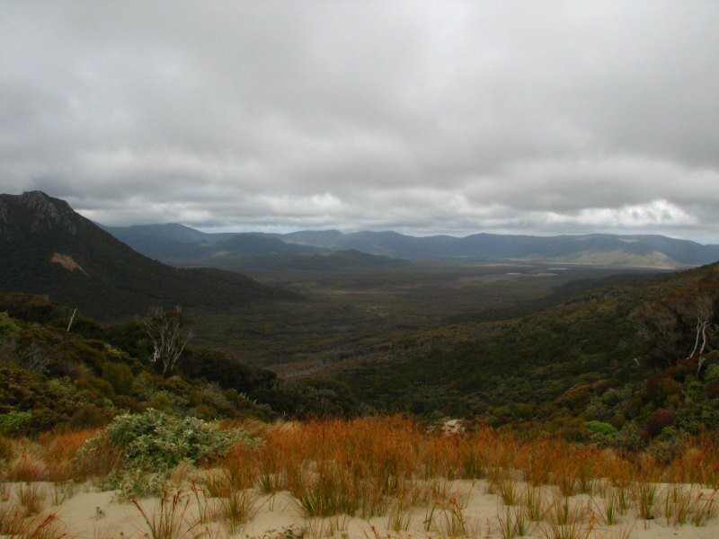 Stewart Island 04