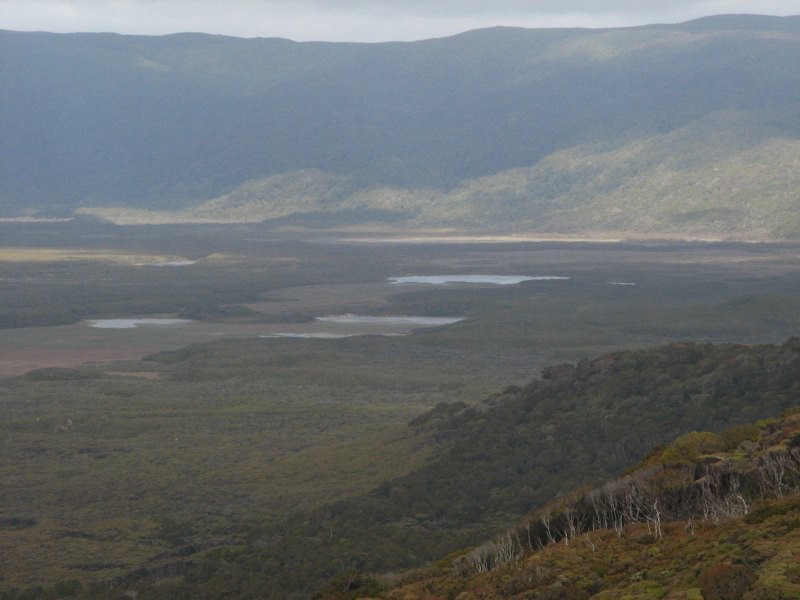 Stewart Island 04