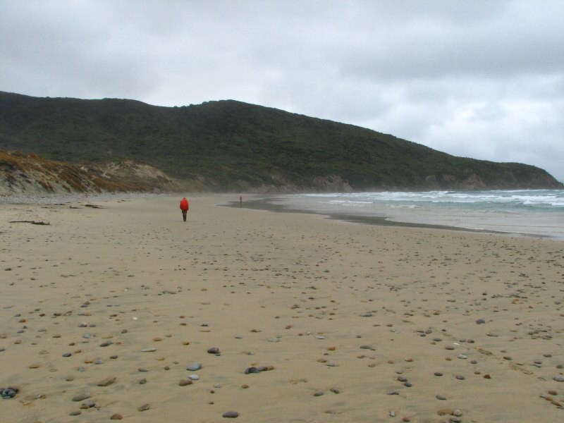 Stewart Island 05