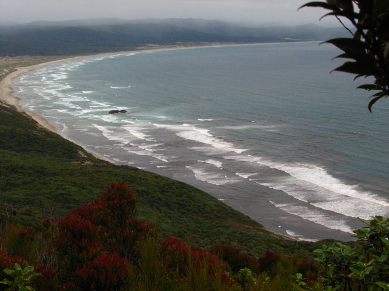 Stewart Island 05
