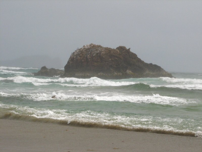 Stewart Island 05