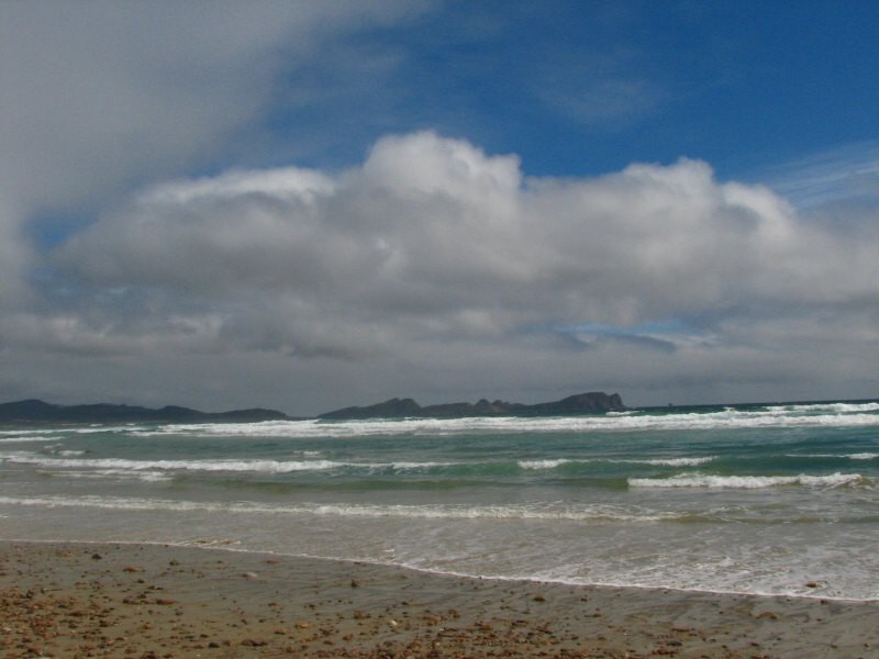 Stewart Island 05