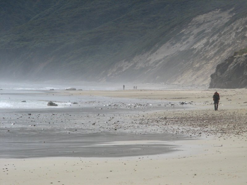 Stewart Island 05