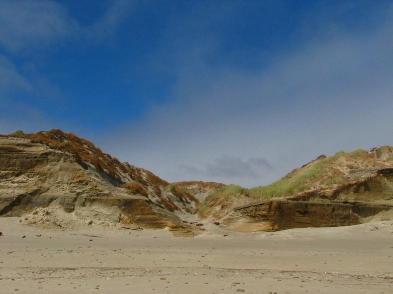 Stewart Island 05