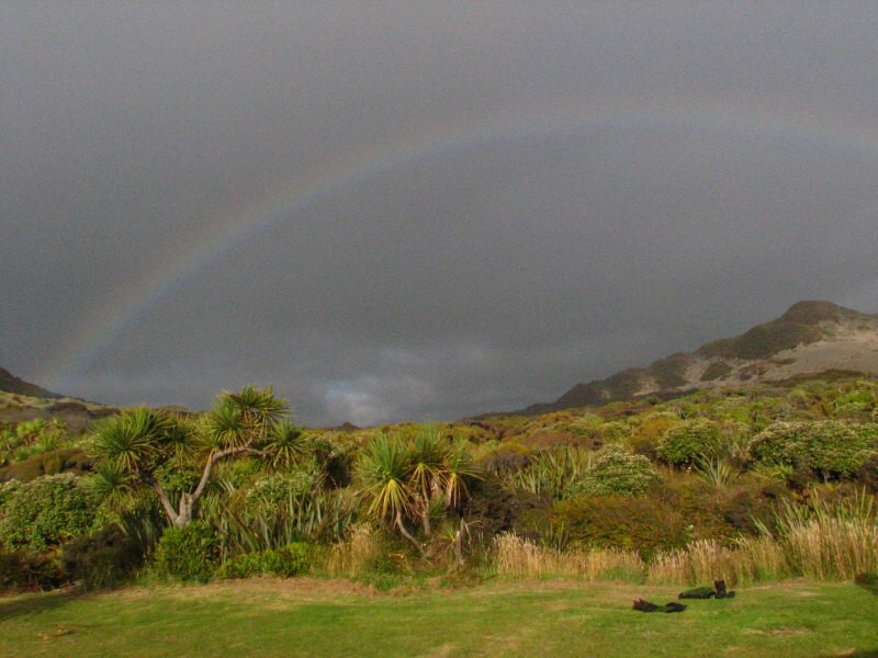 Stewart Island 05