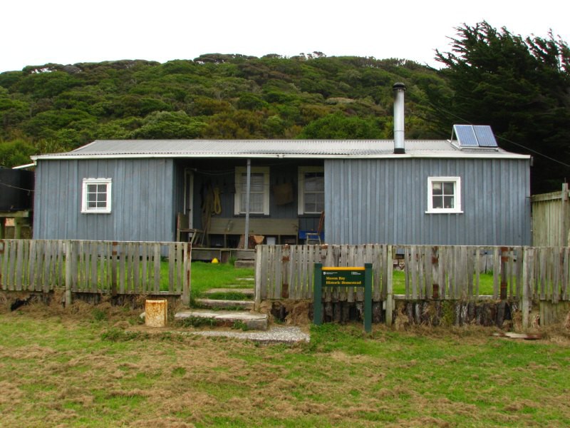 Stewart Island 05