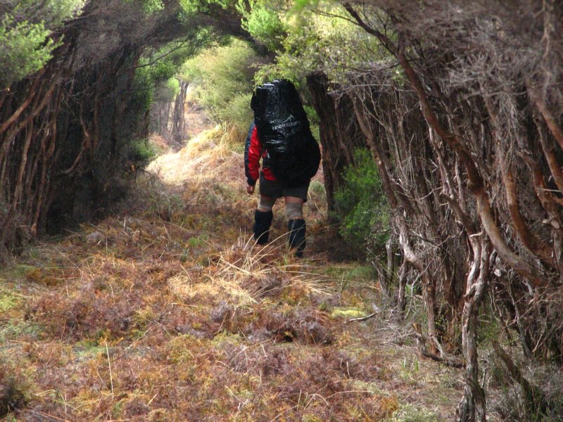 Stewart Island 05