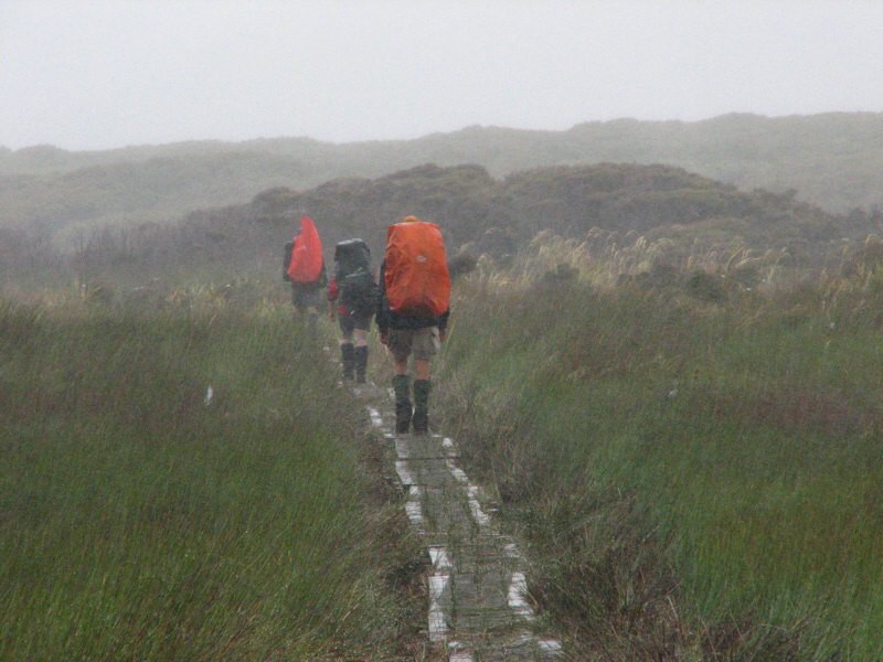 Stewart Island 05