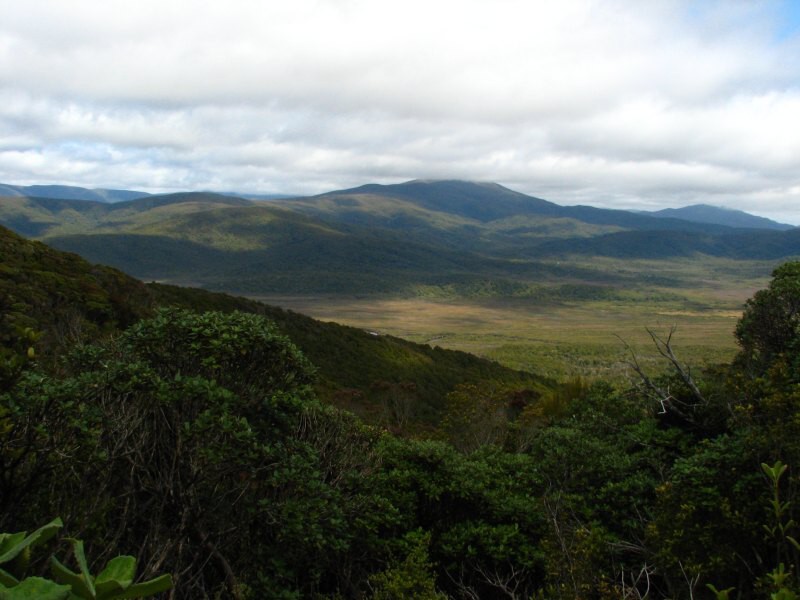 Stewart Island 05