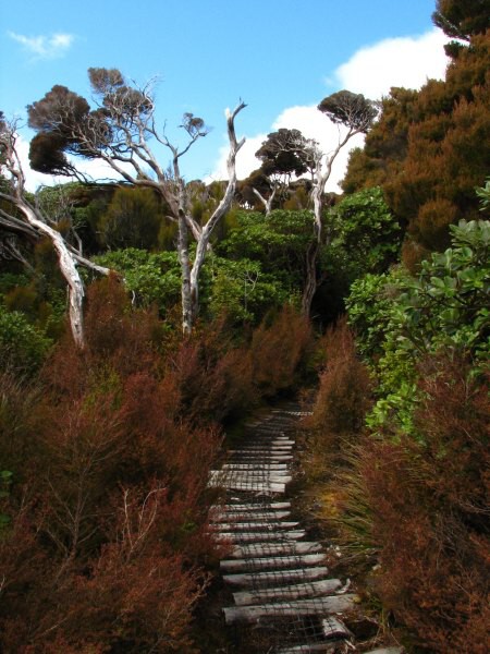 Stewart Island 05