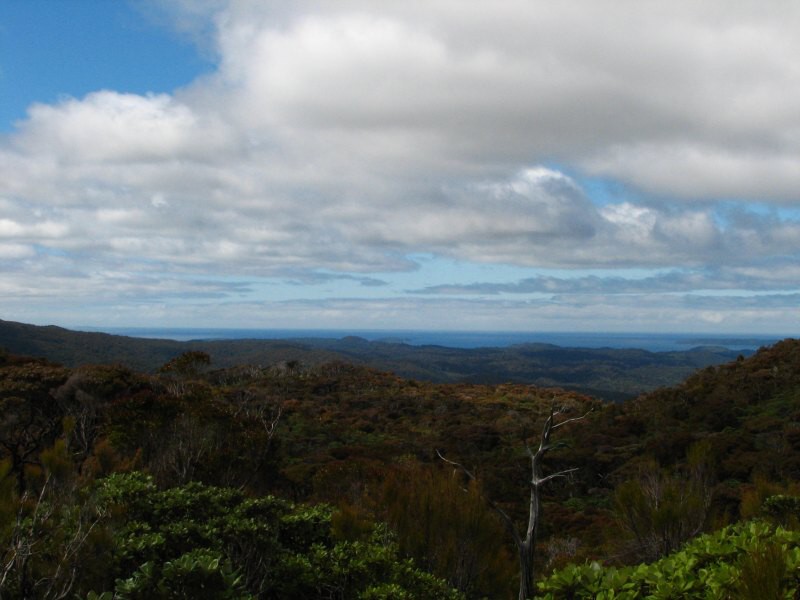 Stewart Island 05