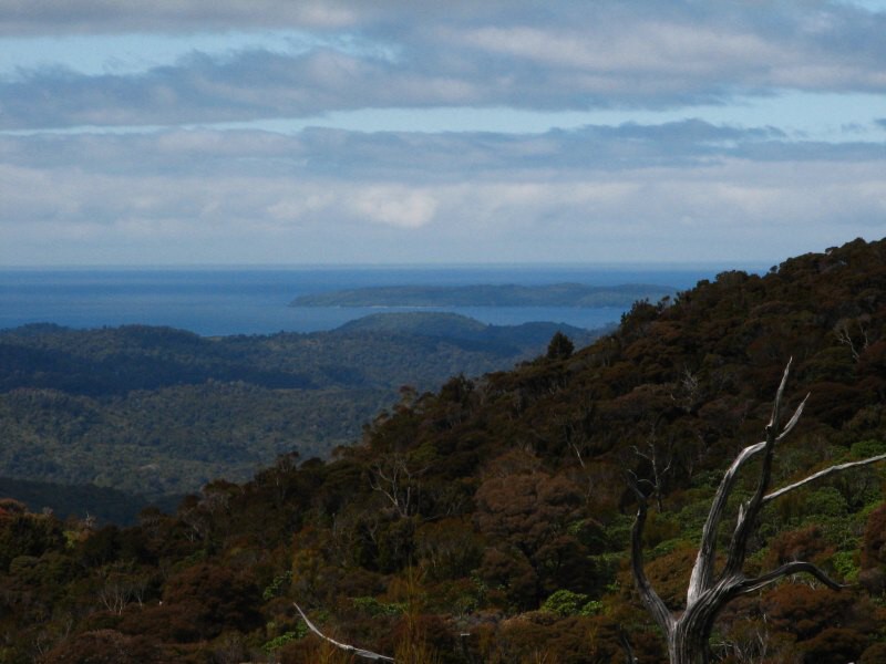Stewart Island 05