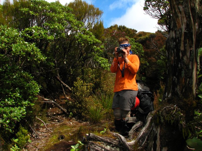 Stewart Island 05