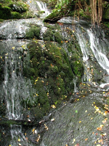 Stewart Island 05