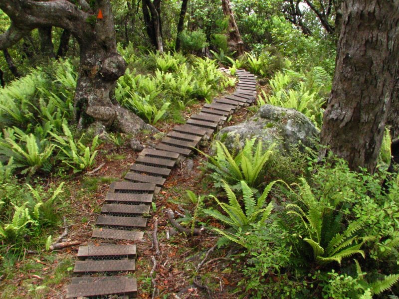 Stewart Island 05