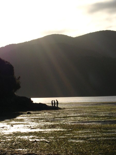 Stewart Island 05