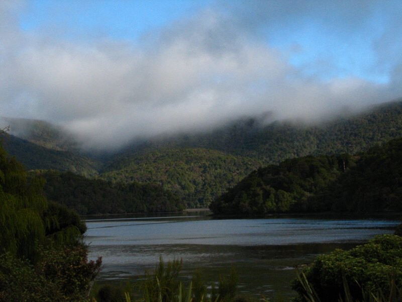 Stewart Island 06