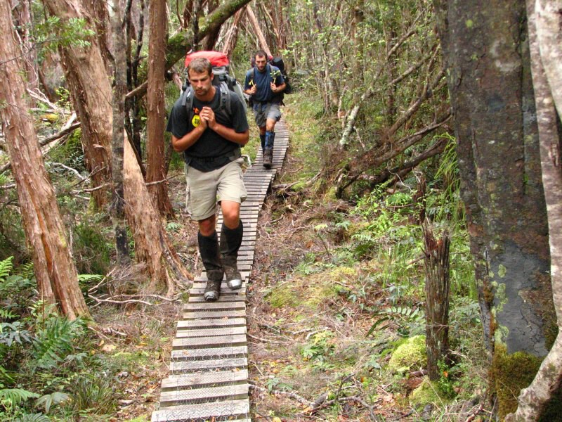 Stewart Island 06