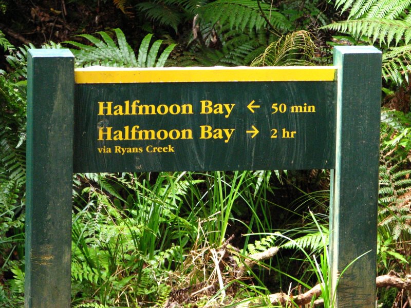 Stewart Island 06