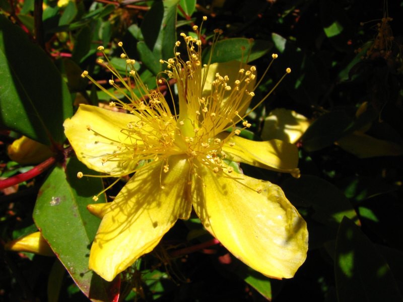 Stewart Island 06