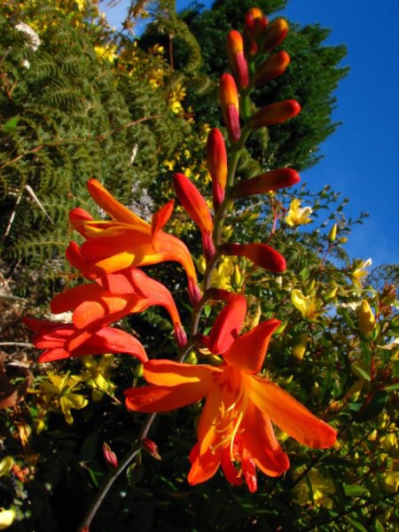 Stewart Island 06