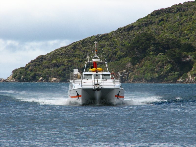 Stewart Island 06