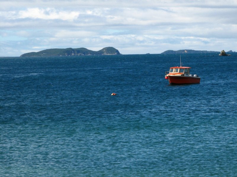 Stewart Island 06