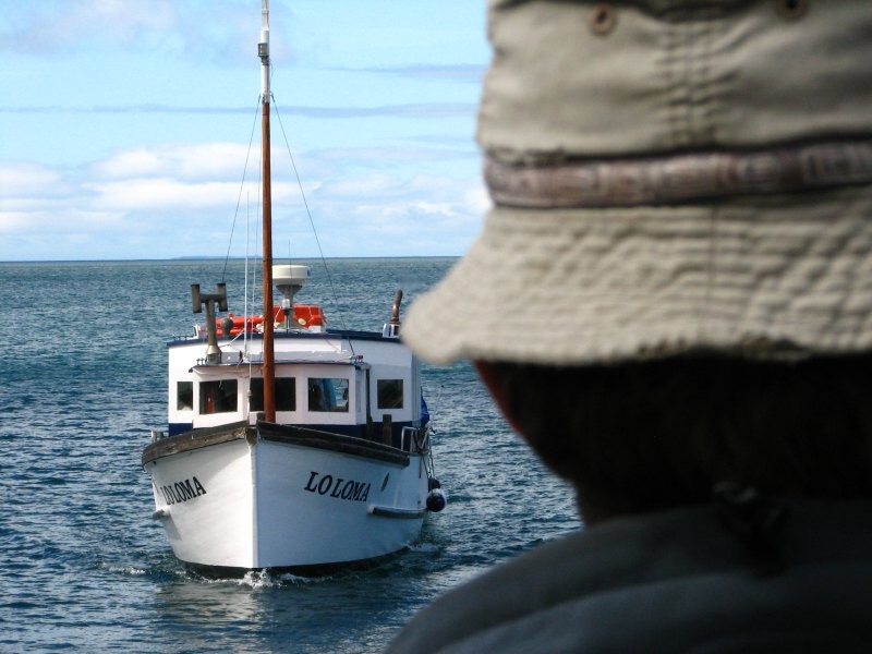 Stewart Island 06
