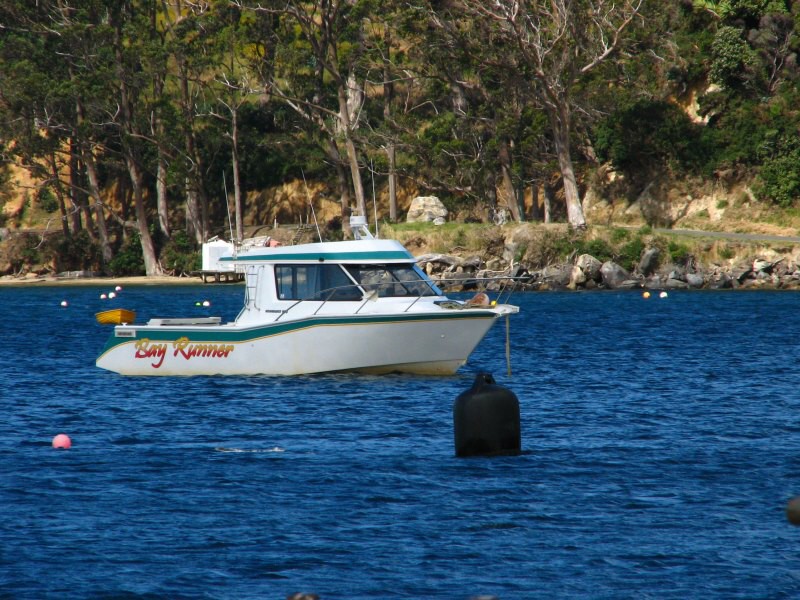 Stewart Island 06