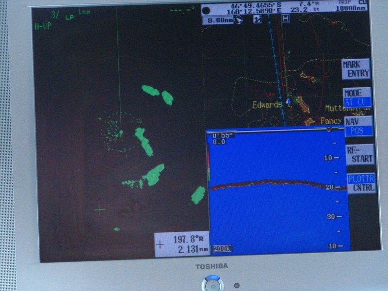 Stewart Island 06