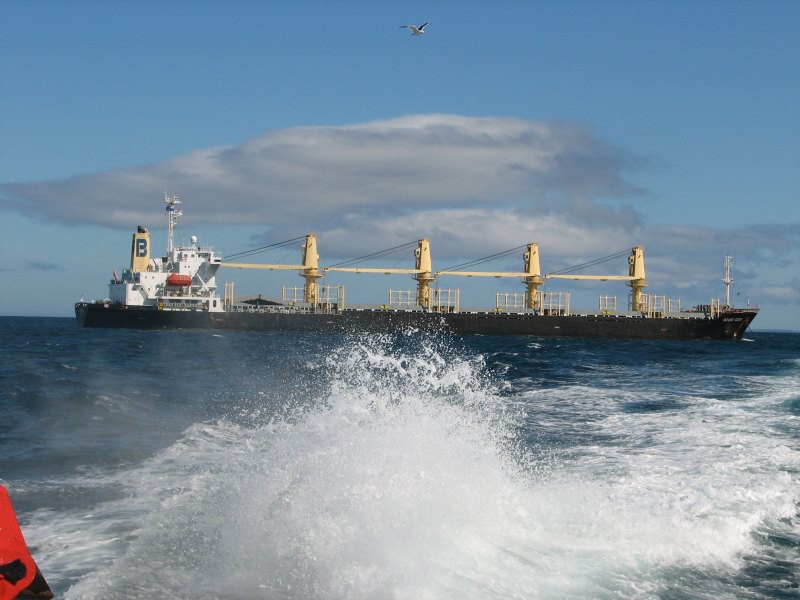 Stewart Island 06