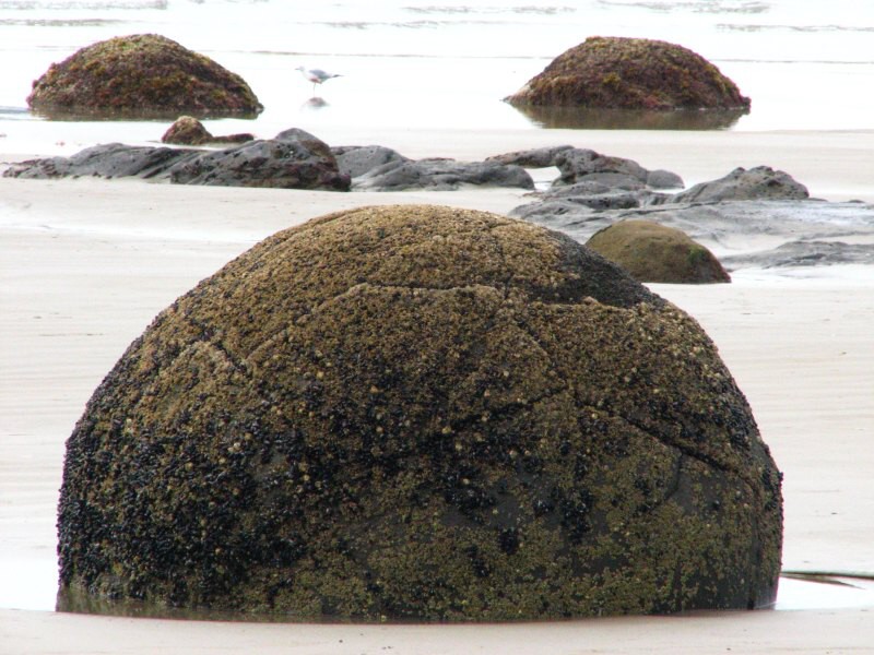 Moeraki Boulders