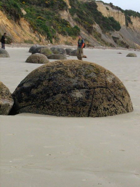 Moeraki Boulders