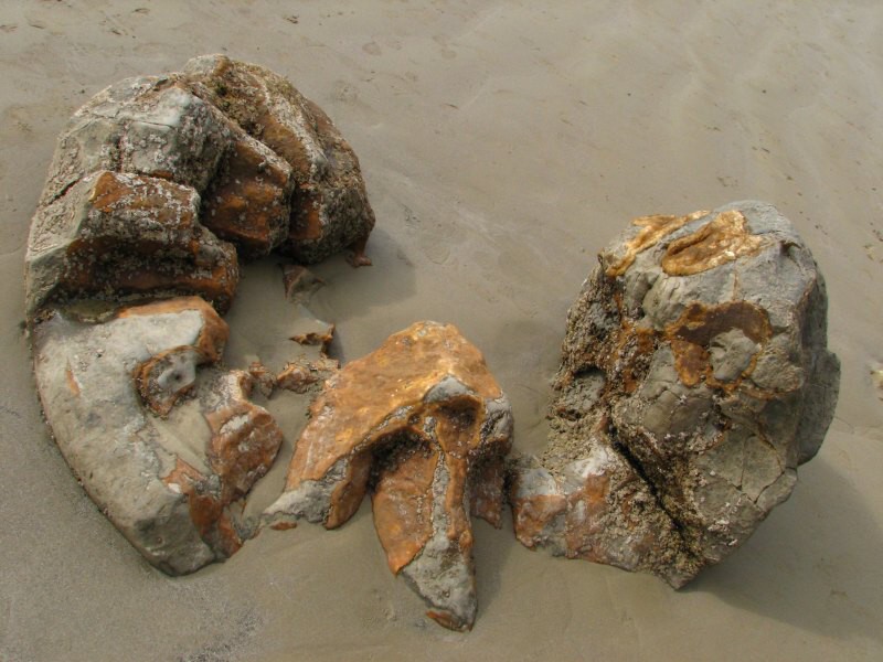 Moeraki Boulders